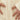 f0ed2c6e-2b72-488d-ab68-cc6f343b504b-Max