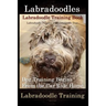 Labradoodles, Labradoodle Training Book for Both Labradoodle Dogs & Labradoodle Puppies By D!G THIS Dog Training: Dog Training Begins From the Car Rid