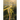 Through the Narrow Gate