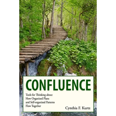 Confluence: Tools for Thinking about How Organized Plans and Self-organized Patterns Flow Together