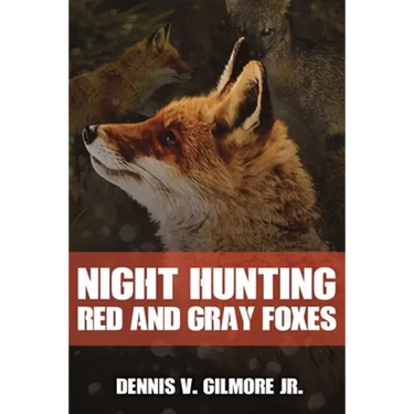 Night Hunting Red And Gray Foxes