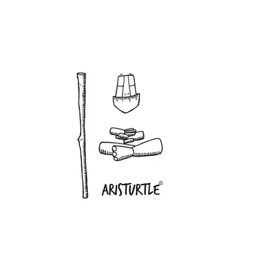 Aristurtle