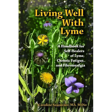 Living Well with Lyme: A Handbook for Self-Healers of Lyme, Chronic Fatigue, and