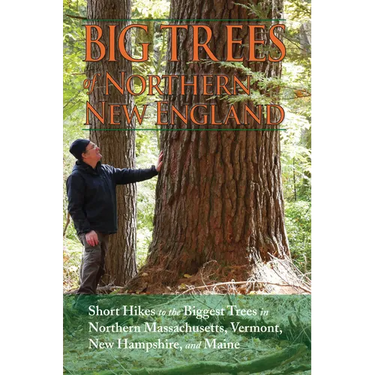 Big Trees of Northern New England