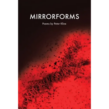 Mirrorforms