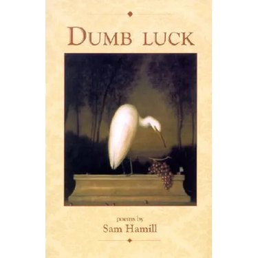 Dumb Luck