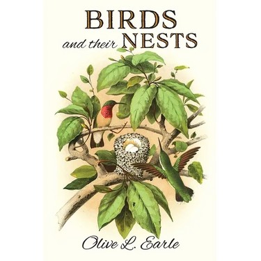 Birds and their Nests