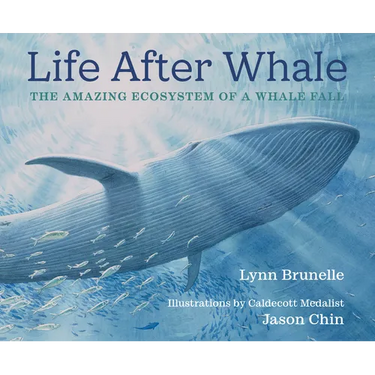 Life After Whale: The Amazing Ecosystem of a Whale Fall
