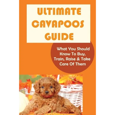 Ultimate Cavapoos Guide: What You Should Know To Buy, Train, Raise & Take Care Of Them: Cavapoo Living Needs