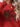 f99a5306435e408296d02758e18f700b-Max