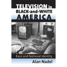 Television in Black-And-White America: Race and National Identity