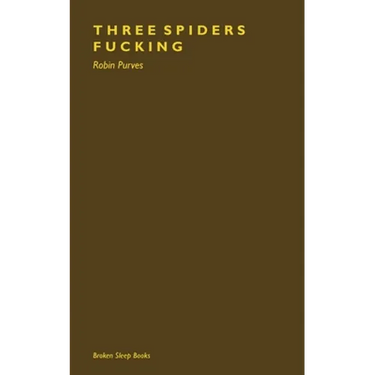 Three Spiders Fucking