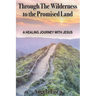 Through The Wilderness to the Promised Land: A healing journey with Jesus