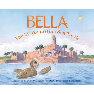 Bella the St. Augustine Sea Turtle