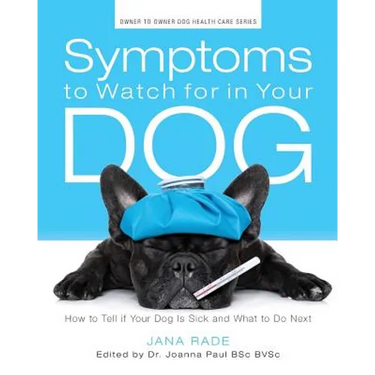 Symptoms to Watch for in Your Dog: How to Tell if Your Dog Is Sick and What to Do Next