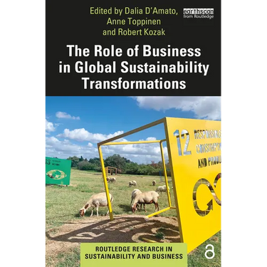 The Role of Business in Global Sustainability Transformations