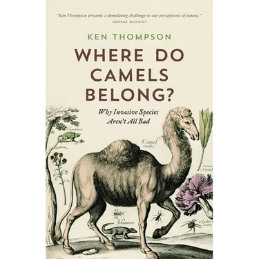 Where Do Camels Belong?: Why Invasive Species Aren't All Bad