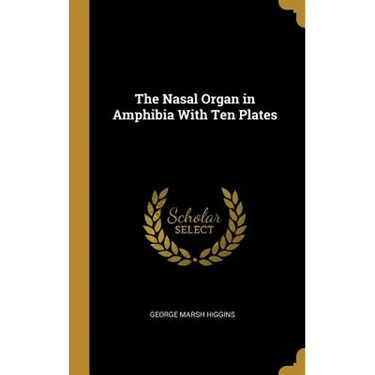 The Nasal Organ in Amphibia With Ten Plates