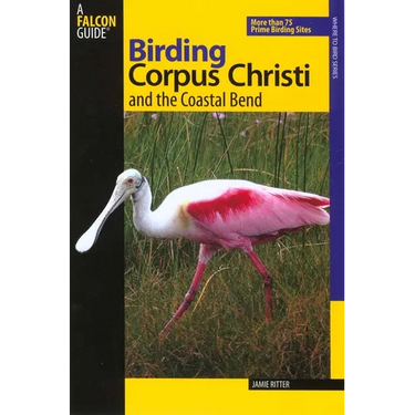 Birding Corpus Christi and the Coastal Bend