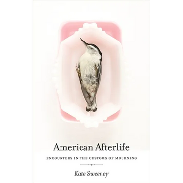 American Afterlife: Encounters in the Customs of Mourning