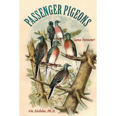 Passenger Pigeons: Gone Forever