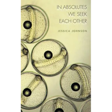In Absolutes We Seek Each Other