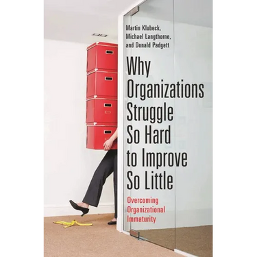 Why Organizations Struggle So Hard to Improve So Little: Overcoming Organizational Immaturity