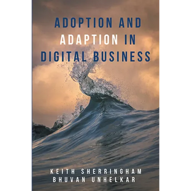 Adoption and Adaption in Digital Business