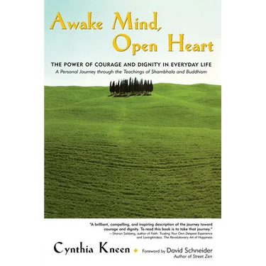 Awake Mind, Open Heart: The Power of Courage and Dignity in Everyday Life