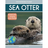 Sea Otter: Amazing Facts About Ocean's Cleverest Mammals for Kids