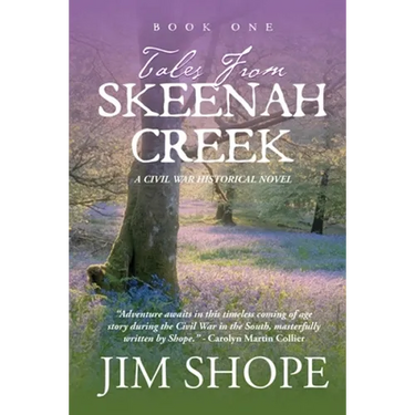 Tales From Skeenah Creek: A Civil War Historical Fiction Novel