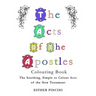 The Acts of the Apostles Colouring Book: The Soothing, Simple to Colour Acts of the New Testament