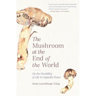 The Mushroom at the End of the World: On the Possibility of Life in Capitalist Ruins