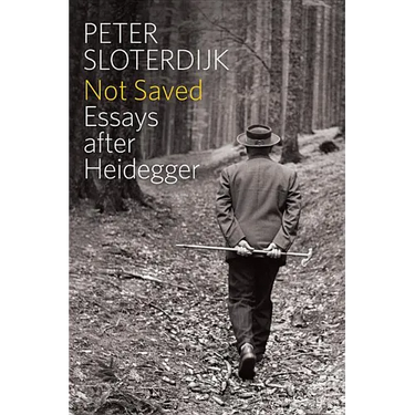 Not Saved: Essays After Heidegger