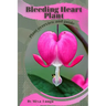 Bleeding Heart Plant: Plant overview and guide