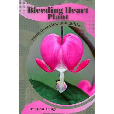 Bleeding Heart Plant: Plant overview and guide