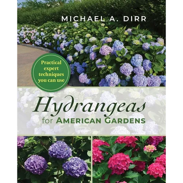 Hydrangeas for American Gardens