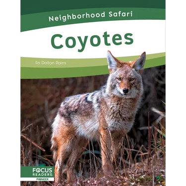 Coyotes