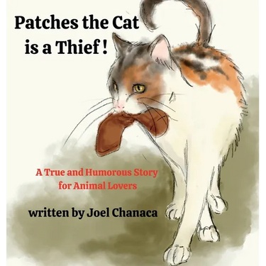 Patches The Cat is a Thief !