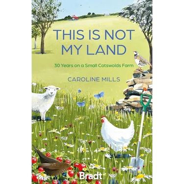This Is Not My Land: 30 Years on a Small Cotswolds Farm