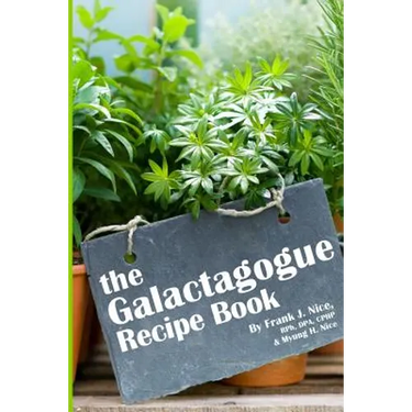The Galactagogue Recipe Book
