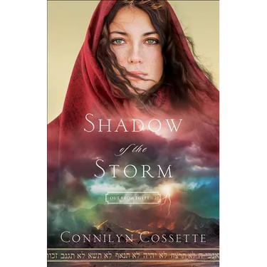 Shadow of the Storm