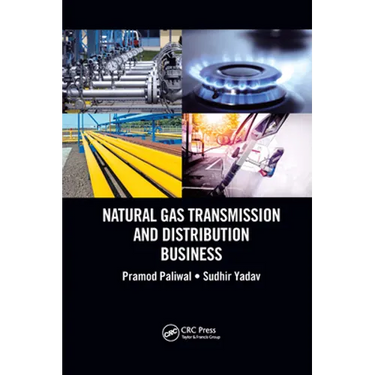 Natural Gas Transmission and Distribution Business