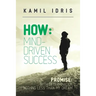 How: Promise: with determination nothing less than my dream