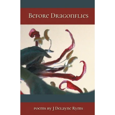 Before Dragonflies