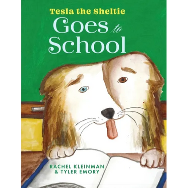 Tesla the Sheltie Goes to School