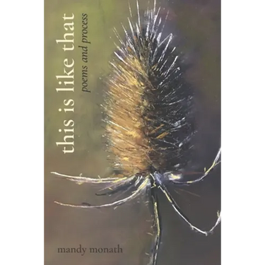 This Is Like That: Poems and Process