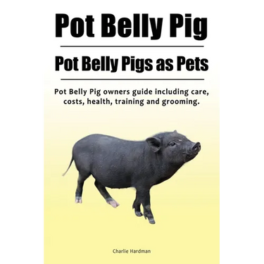Pot Belly Pig. Pot Belly Pigs as Pets. Pot Belly Pig owners guide including care, costs, health, training and grooming.