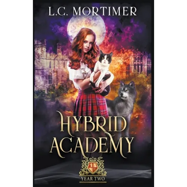 Hybrid Academy: Year Two