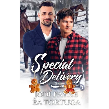 Special Delivery: A Wrecked Holiday Novel